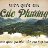 vuon-quoc-gia-cuc-phuong