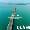 cau_thi_nai_quy_nhon